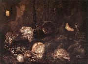 SCHRIECK, Otto Marseus van Still-Life with Insects and Amphibians ar oil on canvas
